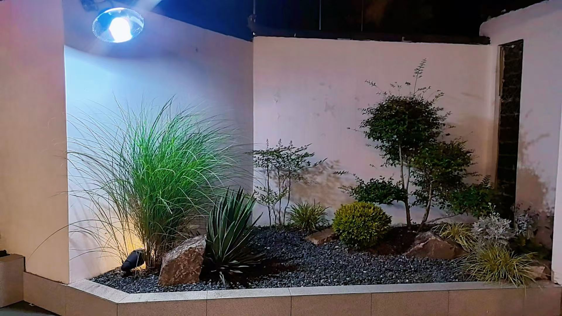 江淮名灶庭院环境照片